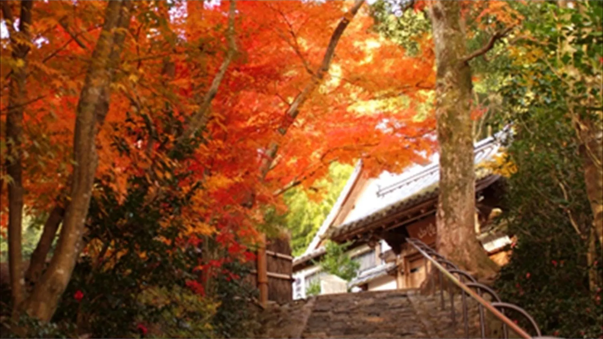 River Side Arashiyama - Vacation Stay 86031V Κιότο Ξενοδοχείο