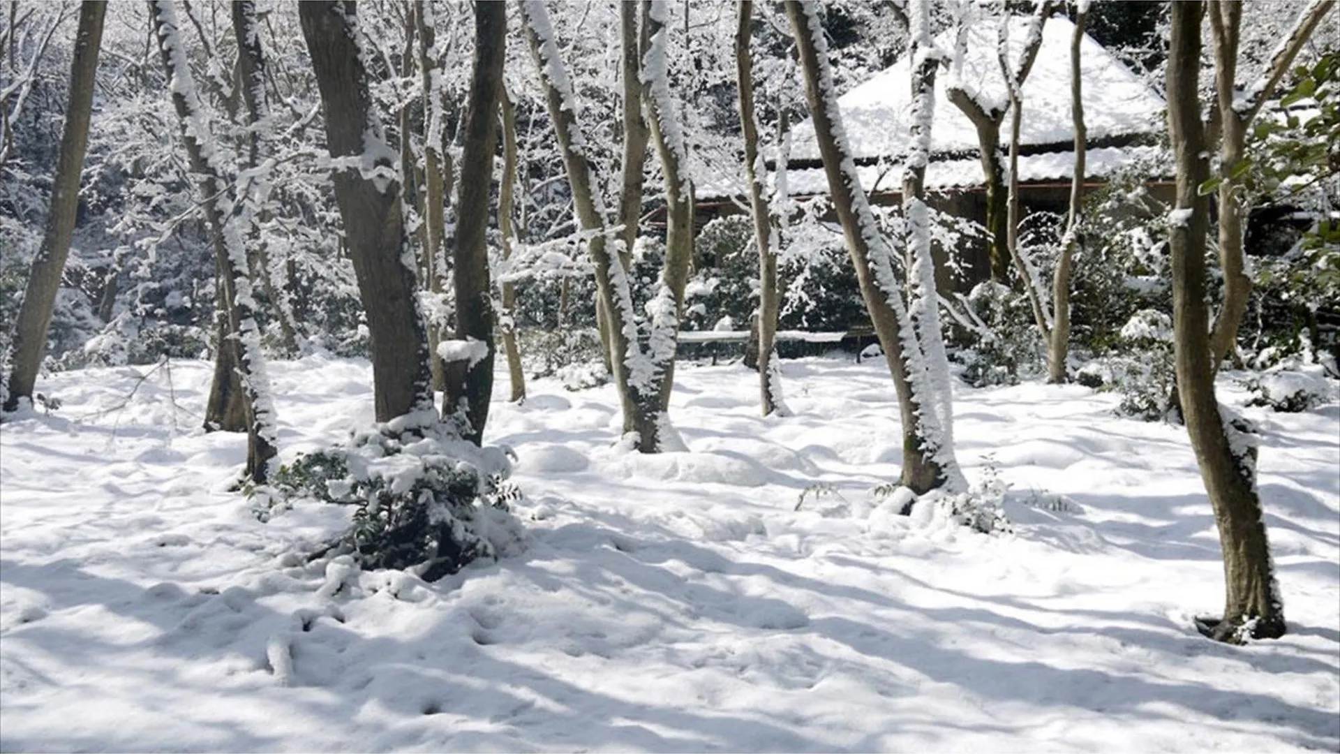 Ξενοδοχείο River Side Arashiyama - Vacation Stay 86031V Κιότο