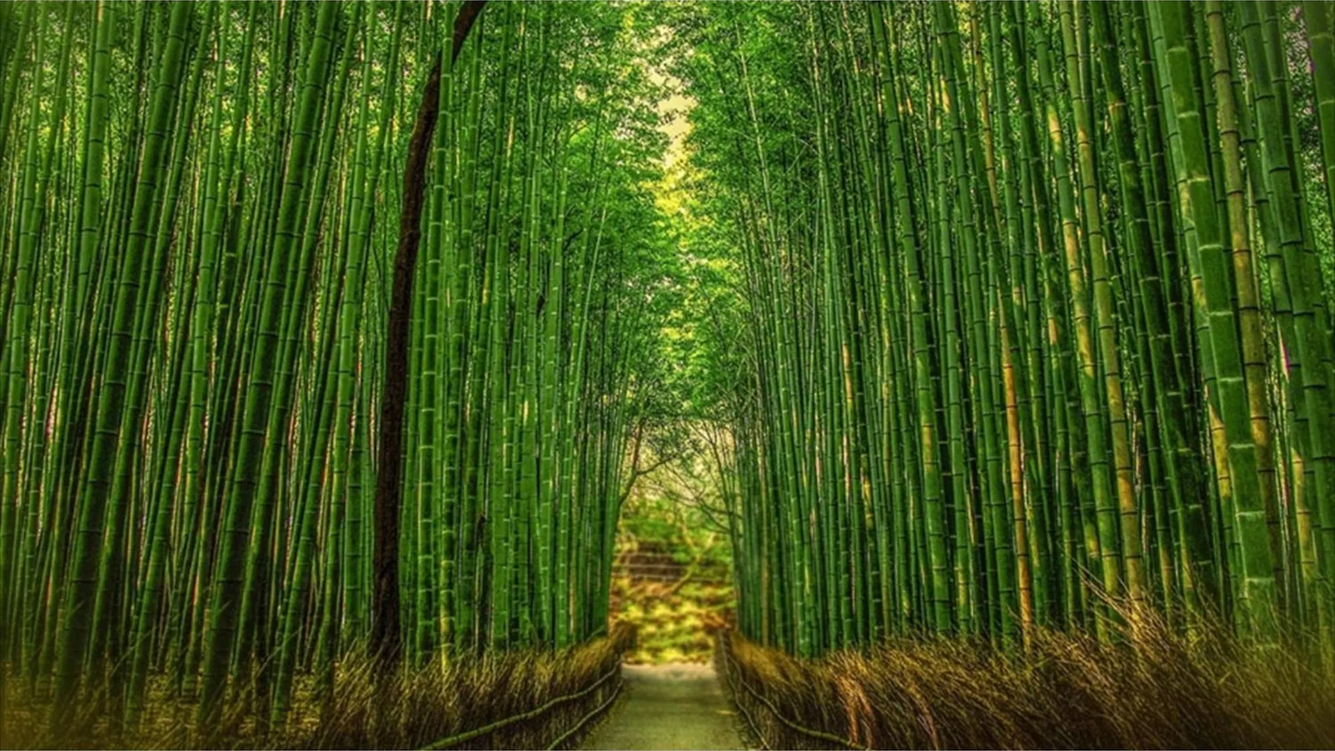 River Side Arashiyama - Vacation Stay 86031V Κιότο 0*,  Ιαπωνία
