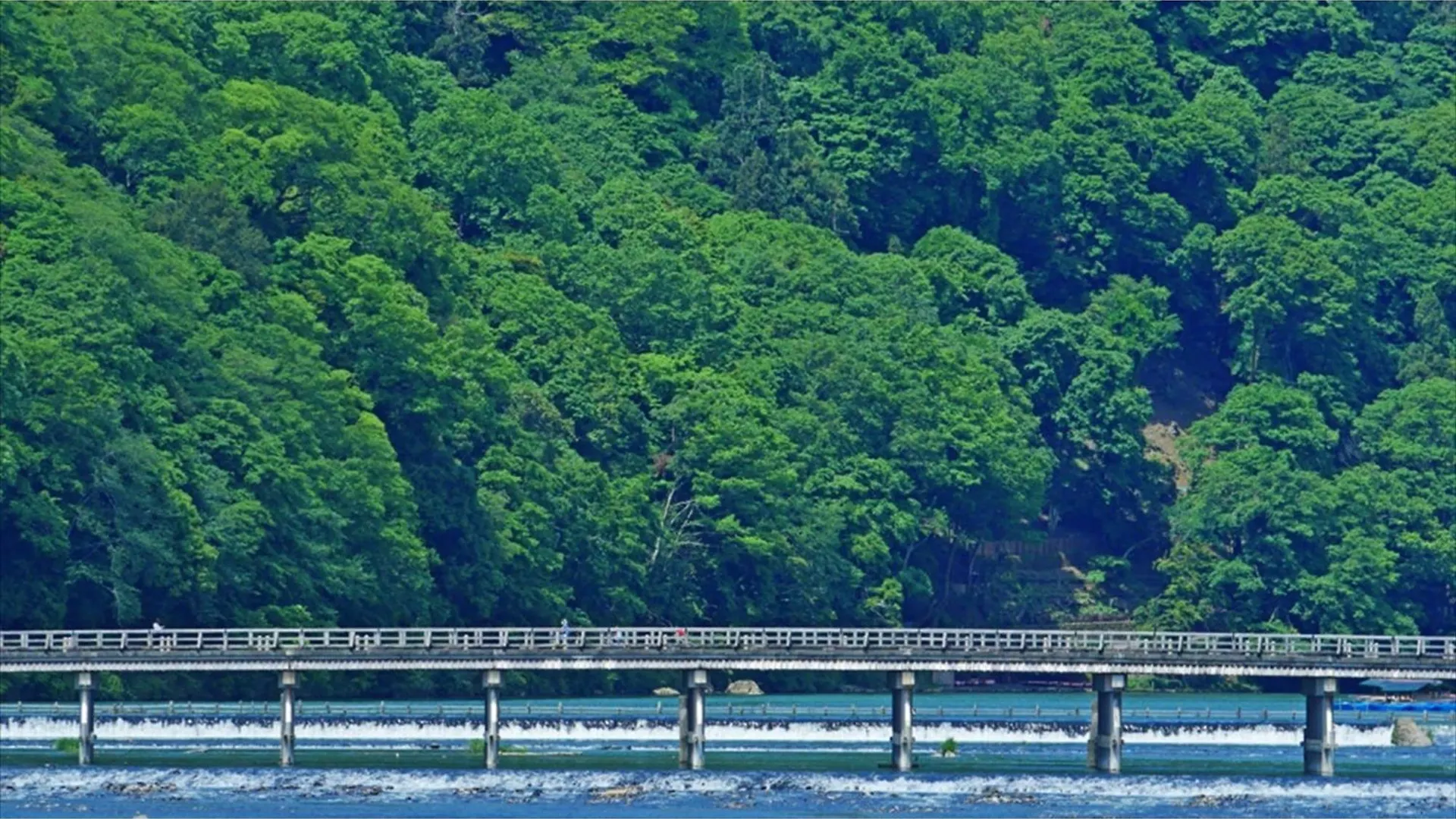Ξενοδοχείο River Side Arashiyama - Vacation Stay 86031V Κιότο Ιαπωνία