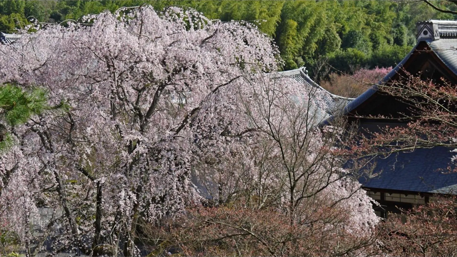 Ξενοδοχείο River Side Arashiyama - Vacation Stay 86031V Κιότο